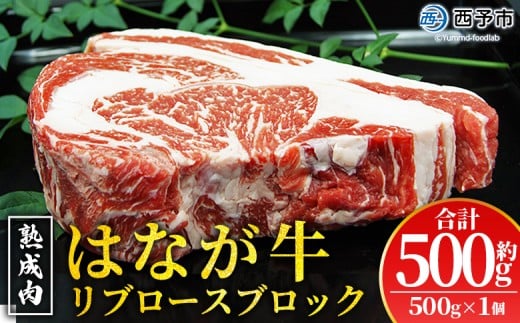 <熟成肉 はなが牛リブロースブロック約500g(500g×1個)> 牛肉 ステーキ 鉄板焼き 焼き肉 国産 塊肉 かたまり 霜降り しもふり バーベキュー BBQ キャンプ アウトドア 特産品 ゆうぼく 愛媛