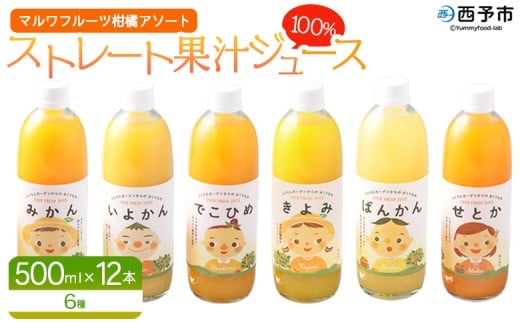 <マルワフルーツ柑橘アソート 100%ストレート果汁ジュース 500ml×12本> 詰め合わせ セット スイーツ 果物 フルーツ みかん オレンジ 柑橘 清見 でこひめ 河内晩柑 伊予柑 せとか 特産品 愛