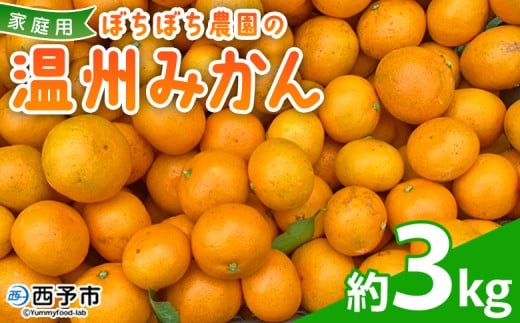 ڂڂ_̉B݂ ƒp 3kg 3L 񂵂イ݂ B~J 󂠂 킯 PA ʕ ݂ ~J k t[c Y Yi ڂڂ_ Q \sy퉷