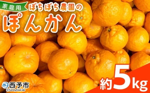 <ぼちぼち農園のぽんかん 家庭用 約5kg> 5キロ ぽんかん ポンカン 訳あり わけあり ワケアリ 果物 みかん ミカン 柑橘 フルーツ 生産量日本一 国産 特産品 ぼちぼち農園 愛媛県 西予市【常