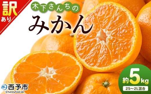 <木下さんちのみかん 訳あり 約5kg(2S〜2Lサイズ混合)> 選べる わけあり 家庭用 柑橘 温州みかん うんしゅうみかん ミカン 蜜柑 果物 くだもの フルーツ 国産 特産品 木下農園 愛媛県 西