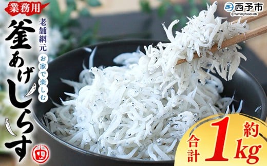 【2026年2月に順次発送】<老舗網元 お家で楽しむ 業務用 釜あげしらす(合計約1kg)>釜揚げ しらす シラス ちりめん じゃこ 海鮮 海産物 丼 おにぎり 具材 ご飯 おつまみ おやつ 小魚 乾物