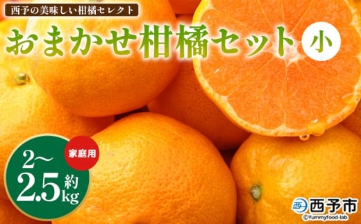 <西予の美味しい柑橘セレクト(ご家庭用)/おまかせ柑橘セット(小)約2〜2.5kg> 果物 くだもの フルーツ 蜜柑 みかん ミカン 柑橘 ご家庭用 温州みかん 食べて応援 国産 愛媛県産 特産