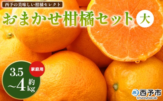 <西予の美味しい柑橘セレクト(ご家庭用)/おまかせ柑橘セット(大)約3.5〜4kg> 果物 くだもの フルーツ 蜜柑 みかん ミカン 柑橘 ご家庭用 温州みかん 食べて応援 国産 愛媛県産 特産