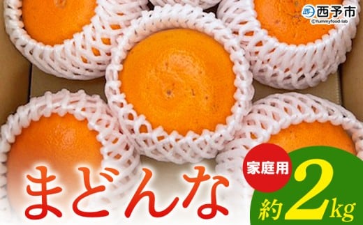 g܂ǂȂƓiI܂ǂ ƒp 2kg k ݂ ~J  ʕ t[c IW g}hi }hi 󂠂 Y QY Yi 񂶂́[ Hׂĉ Fa Q