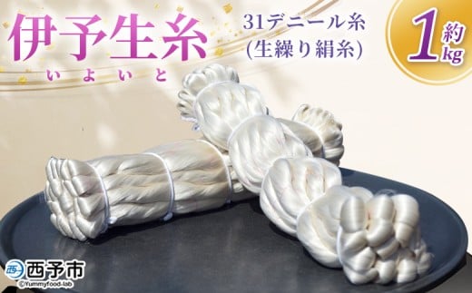 <伊予生糸(31デニール糸)約1kg> 国産 伊予生糸 いよいと 伊予 生糸 国産生糸 西予産 GI登録 絹糸 白生糸 日本製 生繰り式 国産繭使用 友禅染め 染色 手織り 組紐 糸 伝統工芸 愛媛県西予市