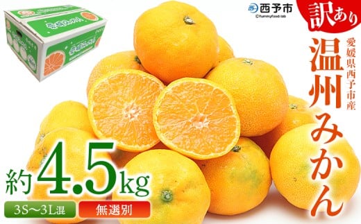 <愛媛県西予市産 訳あり 無選別 温州みかん 約4.5kg> 果物 くだもの フルーツ 柑橘 みかん 蜜柑 ミカン オレンジ 温州みかん 家庭用 サイズ混合 食べて応援 特産品 宇都宮物産 愛媛県 西予