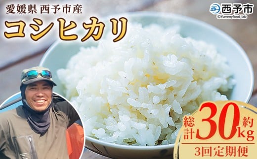 <愛媛県西予市産 コシヒカリ 10kg(3回定期便)> 定期便 国産 愛媛県産 宇和町産 こしひかり お米 米 コメ こめ 白米 精米 ご飯 新鮮 10キロ 特産品 もとき農園 愛媛県 西予市【常温】『2025