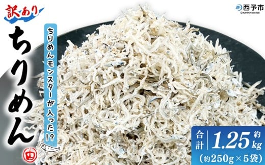 ߂񃂃X^[!? 󂠂 ߂ 1.25kg(250g×5)߂񂶂Ⴑ CN CY  ɂ   ܂    Y }VY Yi Q \s