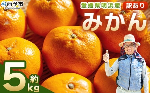 先行予約<明浜産 訳あり みかん 約5kg> 果物 くだもの フルーツ 蜜柑 みかん ミカン 柑橘 ワケアリ 家庭用 食べて応援 国産 愛媛県産 特産品 俵津農地ヘルパー組合 愛媛県 西予市【常温】