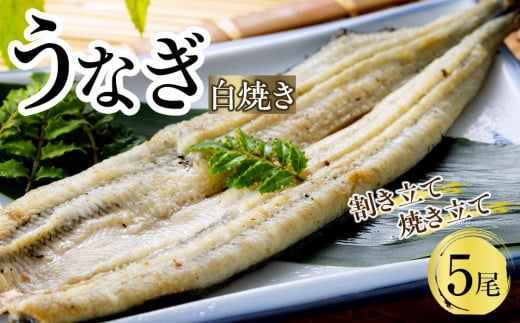 うなぎ白焼き(割き立て・焼き立て)5尾茨城県美浦村43000魚介・海産物うなぎ