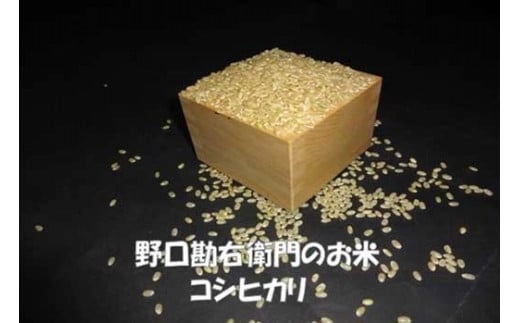 y7NYzEq̂ uS͔|āiRVqJjv10kg錧Y25000āEpāEGāEāE
