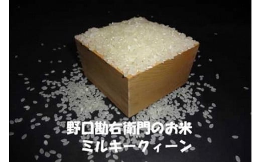 y7NYzEq̂āuĐHœKāi~L[NC[jv8.5kg錧Y28000āEp
