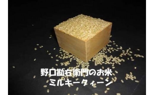 y7NYzEq̂āuĐHœKāi~L[NC[jv20kg(10kg×2)錧Y53000āEp