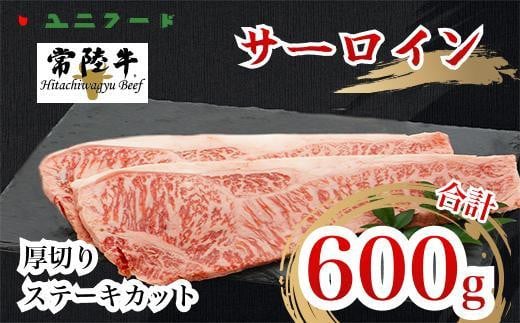 UF02  Yuh 헤 T[C  A4 A5N ~ ؂Xe[LJbg 600i300g×2j Ⓚ i   蕨 Mtg錧Y32000