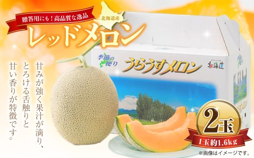 レッドメロン 2玉 (1玉 約1.6kg) 【2026年7月上旬〜7月下旬迄順次発送予定】 果物 フルーツ メロン めろん 赤肉 赤肉メロン 贈答 北海道 浦臼町北海道浦臼町17000果物・フルーツメロン・スイ