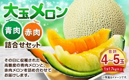    ԓ 4`5 l Zbg i1 1.7kgȏj  ʕ t[c ߂ 4 5 Hה kC YP y2026N7{`8{\zkCYP24000ʕEt[c