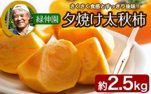 wΐLx̑ [ĂH` 2.5kg 4-7ʑO \ts11{-12{oׁt ` 傫YȏH̗[̂悤ȐFƌ`F{ʓ13500ʕEt[c̑ ʕEt[