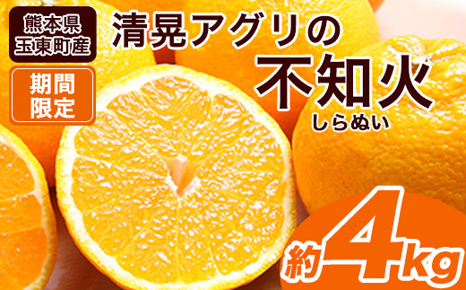 wWAOx̕sm(ʂ)4kg(L-4LTCY)10-16ʑO s3{-3oׁt\t t[c {̃fR|Ɠi큚 F{ʖSʓwWAOxsmΌF{