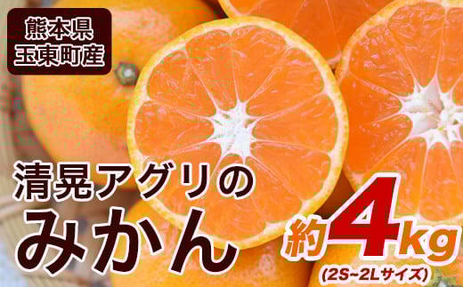 wWAOx݂̂񁚖4kg(2S-2LTCY) s11{-12oׁt\t t[c H {F{ʖSʓ NȓyňW[V[݂IF{ʓ9000ʕEt