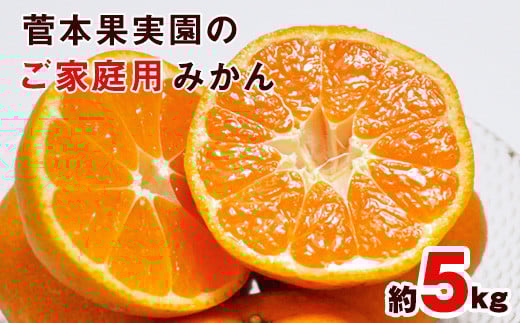 ご家庭用『菅本果実園』のご家庭用みかん★約5kg(2S-2Lサイズ)《11月中旬-12月末頃出荷》 フルーツ 秋 旬★熊本県玉名郡玉東町 全国にファン多数!エコファーマー菅本さんのみかん♪『菅本