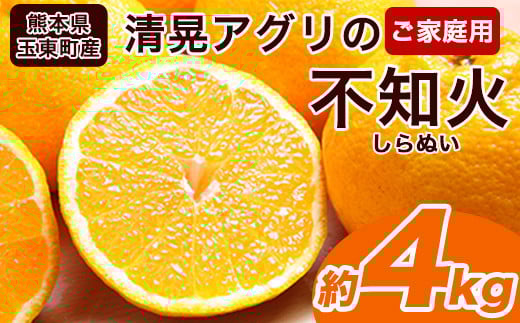 『清晃アグリ』のご家庭用不知火(しらぬい)約4kg(L-4Lサイズ)10玉-16玉前後《3月上旬-3月末頃出荷》 予約受付中 フルーツ 旬★デコポンと同品種★熊本県玉名郡玉東町『清晃アグリ』不知火 ち