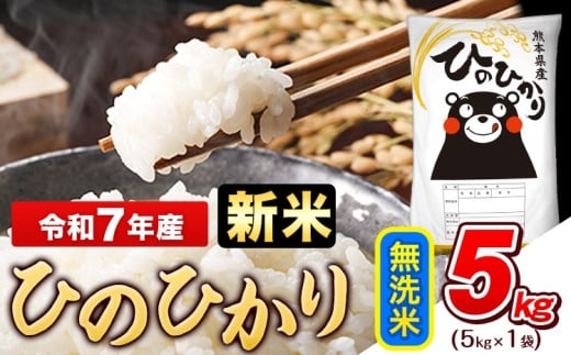 新米 令和7年産 無洗米 ひのひかり 5kg《10月中旬-12月末頃出荷》令和7年産 熊本県産 ふるさと納税 無洗米 精米 ひの 米 こめ ふるさとのうぜい ヒノヒカリ コメ お米 おこめ熊本県玉東町12500
