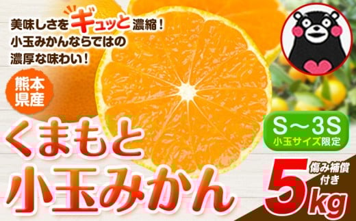 󂠂 ݂ ʂ݂ ܂Əʂ݂  5kg H { s  ƒp SDGs  Ղ F{ Y S-3STCY t[c { k F{Y B݂s10{-12oׁtF{