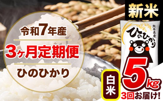 【3ヶ月定期便】新米 令和7年産  定期便 ひのひかり 5kg 《11月から出荷開始》令和7年産 熊本県産 ふるさと納税 白米 精米 ひの 米 こめ ふるさとのうぜい ヒノヒカリ コメ 熊本米熊本県玉東