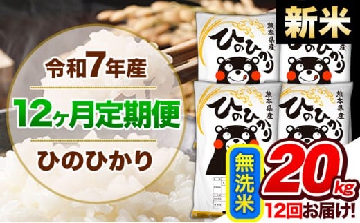 【12ヶ月定期便】新米 令和7年産 定期便 無洗米 ひのひかり20kg 《11月から出荷開始》令和7年産 熊本県産 ふるさと納税 精米 ひの 米 こめ ふるさとのうぜい ヒノヒカリ コメ 熊本米熊本県玉