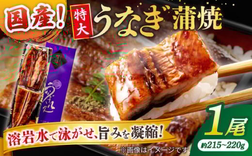 ȂVܐX̃pƂӂ獑YȂ 1(Ẵ^t) ]s/ЎR [ALDC003]bY Ȃ EiM V `̃^ Ă Y  ]  l