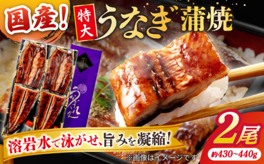 ȂVܐX̃pƂӂ獑YȂ 2(Ẵ^t) ]s/ЎR [ALDC001]bY Ȃ EiM V `̃^ Ă Y  ]  l