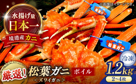 }ⓀŎ|݂ƕ߂ItɃ{Cp1.2kgȏ(2`4) ]s/YHi [ALBO003]bRA  ] tKj t tI  Jj I {C Ⓚ p[