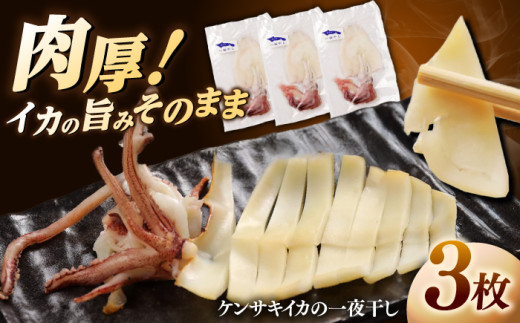 CJ(PTLCJ)̈銱3Zbg ]s/CЂ [ALDY006]bCJ 銱 Zbg CJ   CY ܂  ] Y]s13000ECY