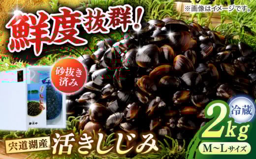 svIΎY }gVW~  2kg ]s/Ћt [ALDN003]b  VW~   CN L ݏ` Yn VN ]]s17000ECY