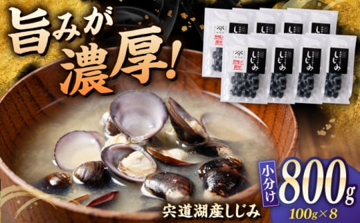 ΎY u݁v 100g×8 ]s/LЃ}Y [ALDB016]bCN  VW~  e  ]  lC LO]s11000ECYL