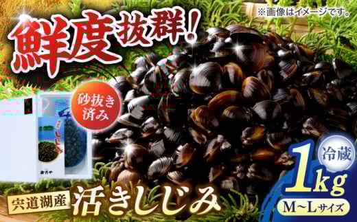 svIΎY }gVW~  1kg ]s/Ћt [ALDN005]b  VW~   ݏ` Yn VN ] ߓ]s10000EC