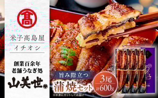 yĎqIiz[Ȃ R]Ȃ3l MAT-AA4 ]s/ЕĎq [ALFD017]bY Ȃ EiM V `̃^ Ă Y  ]  lC