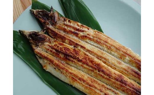 ◆炭火焼 国内加工うなぎ塩こうじ焼き 2尾滋賀県高島市24000魚介・海産物うなぎ