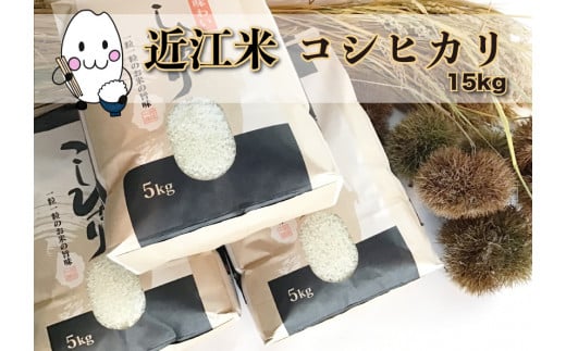 ̋ߍ]āylGz5kg×3 ꌧsYRVqJ YҒ100%ꌧs150000āEp