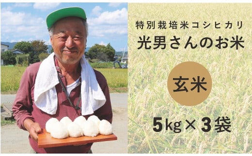 ʍ͔| RVqJ  ĵ   5kg×3܎ꌧs31000āEp