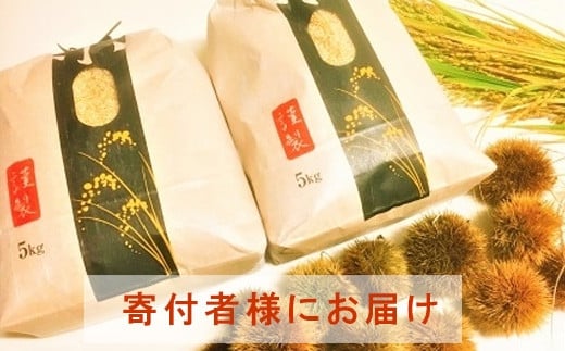 ◆【お米シェア】実生庵の近江米【四季風流】精米5kg×2袋 滋賀県高島市産コシヒカリ 生産者直売100%滋賀県高島市80000米・パン白米