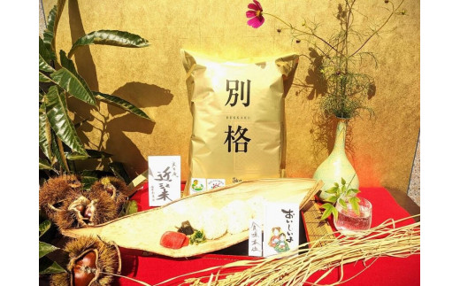 w\EāyH{ʁz̋ߍ]ăRVqJ  5kg×1 ꌧsYYҒ100%ꌧs33000āEp