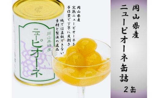 岡山県産 ニューピオーネ 缶詰 2缶【缶 詰合せ セット ピオーネ くだもの フルーツ 果物 フルーツ缶 葡萄 ぶどう おすすめ 岡山県 】岡山県15000果物・フルーツマスカット・ぶどう