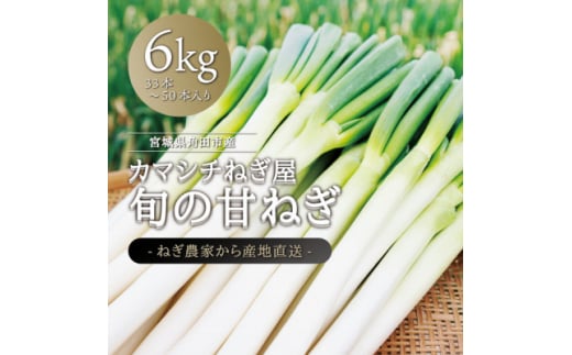 カマシチねぎ屋 旬の甘ねぎ 6kg【1381452】宮城県15000野菜・きのこ玉ねぎ・ねぎ
