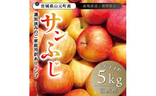宮城県産  ご家庭用 サンふじ5kg(11〜20玉入り)生産者選別済みのリンゴ【1461381】宮城県10000果物・フルーツりんご・梨