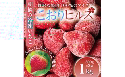nEݗⓀwqYx1kgw^ȂE}Ⓚ{̂_Ƃ璼y1497568z{錧20000ʕEt[c