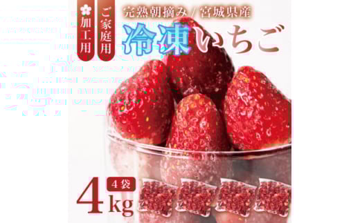 {錧Y nⓀ 4kg(1kg×4)HpEƒpw^ŕ֗ʔNoׁy1497571z{錧25000ʕEt[c