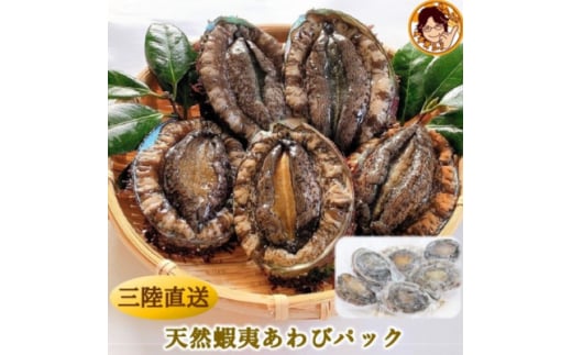 三陸産 天然蝦夷あわび(冷凍)約1kg 6〜8個(捌き方・レシピ付き)【1589193】宮城県50000魚介・海産物貝類