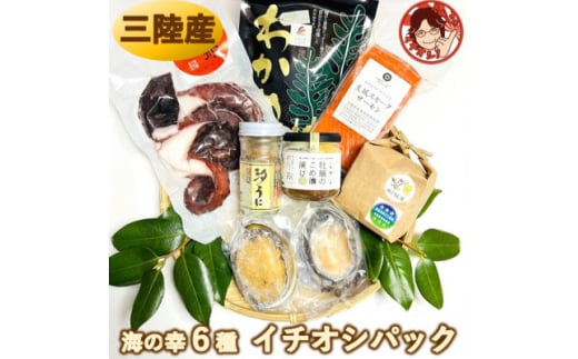 厳選!宮城県南三陸発、豪華・海の幸6種のイチオシパック&ひとめぼれ精米2合のセット【1593037】宮城県40000魚介・海産物イカ・タコ・ウニ